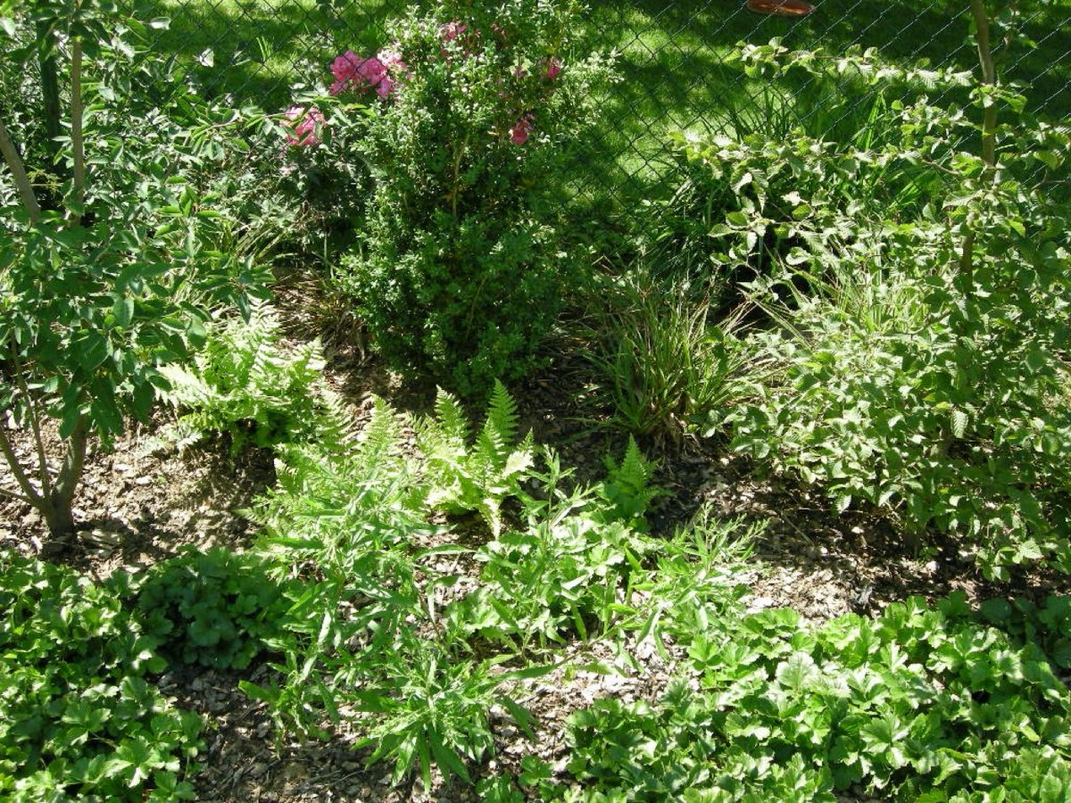 Garten